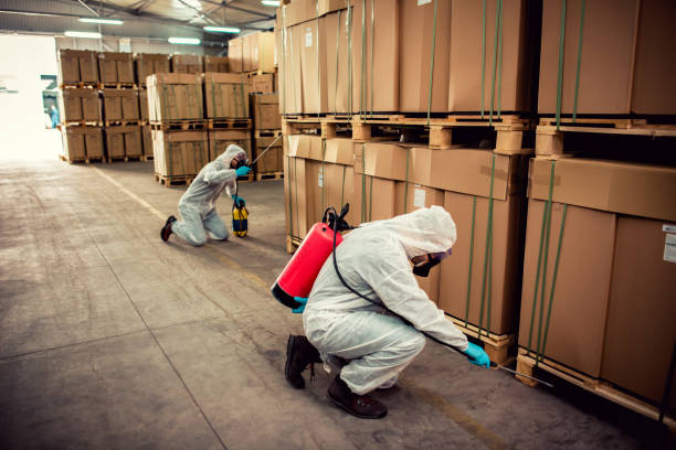 Best Best Pest Control Near Me  in San Carlos, TX