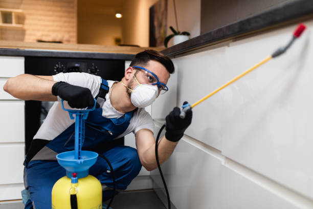 Best Bed Bug Extermination  in San Carlos, TX