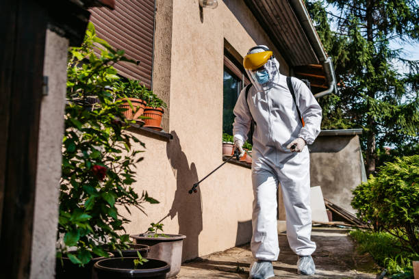 Best Insect Control  in San Carlos, TX