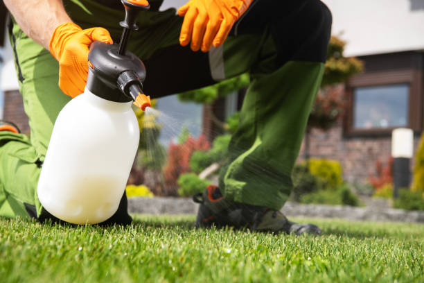 Flea Control Services in San Carlos, TX