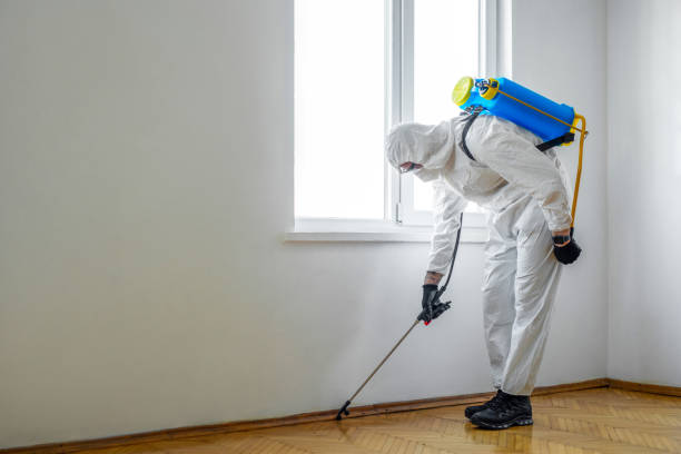 Best Cockroach Control Services  in San Carlos, TX