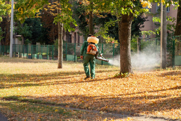 Pest Control Cost in San Carlos, TX