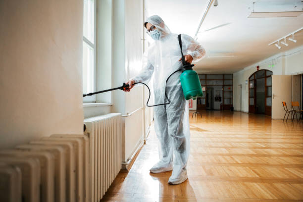 Wasp Removal Services in San Carlos, TX